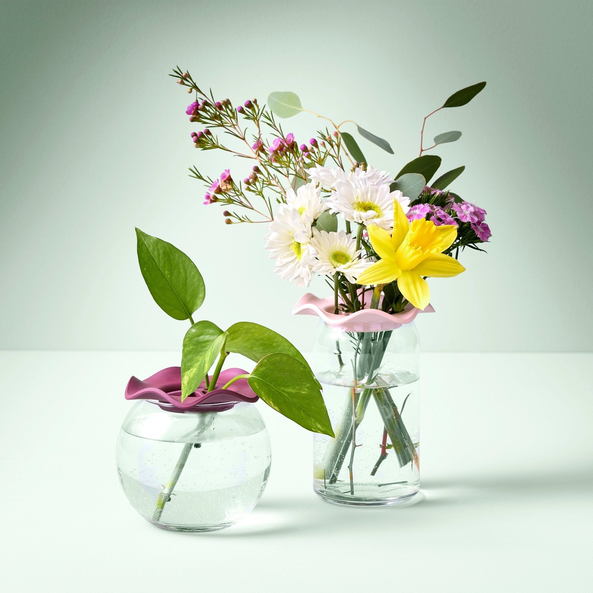 Botanical Keepers, 2pk - Cheeky Garden