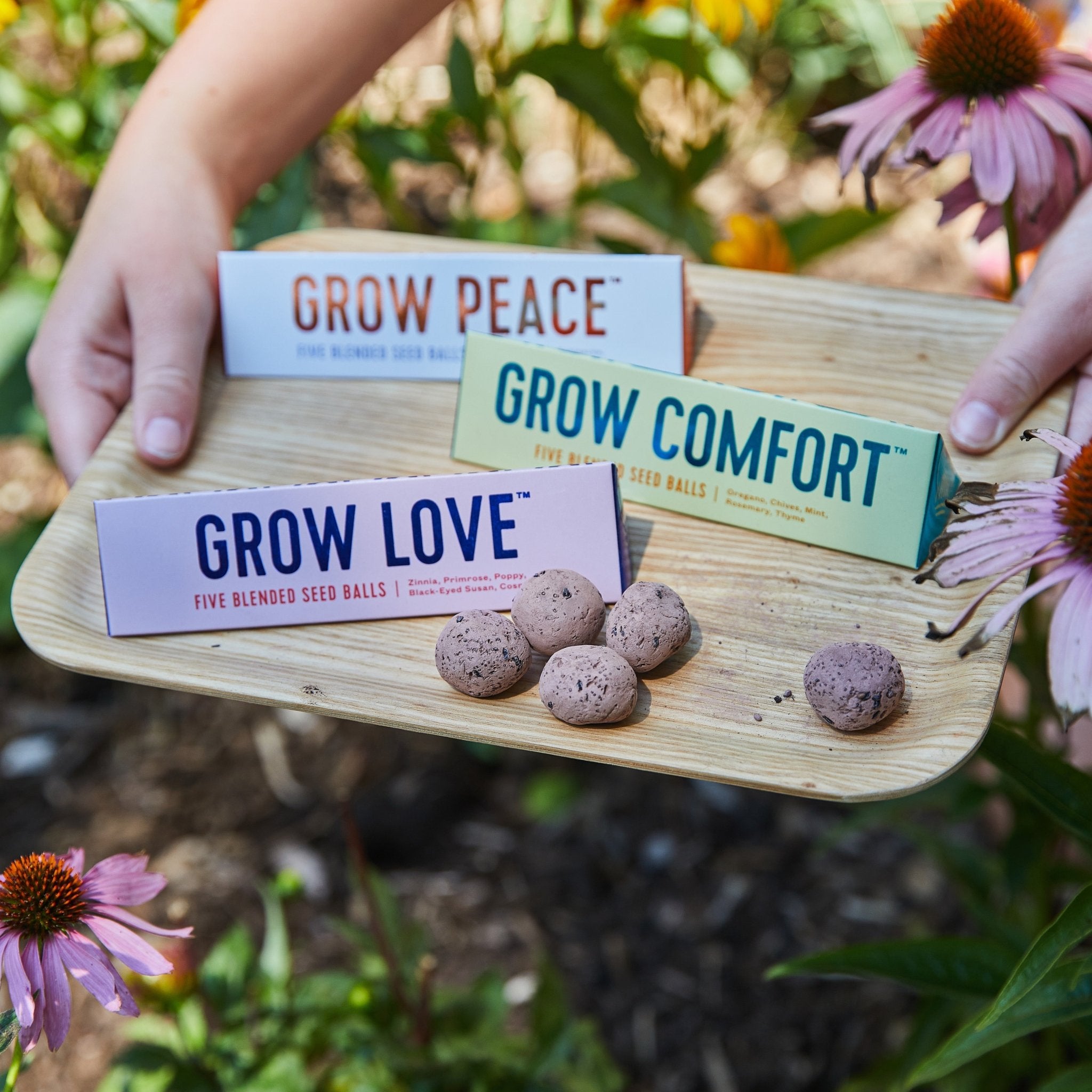 Bright Side Seed Balls - Cheeky Garden