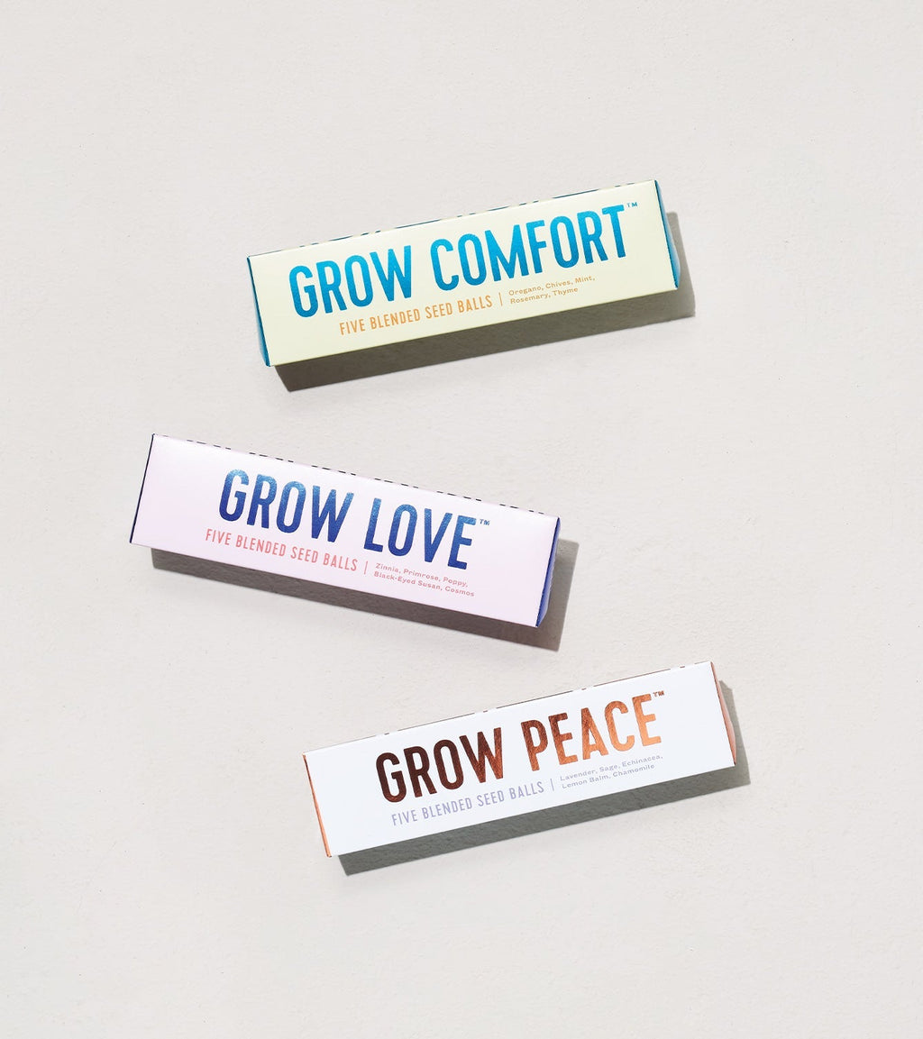 Bright Side Seed Balls - Cheeky Garden