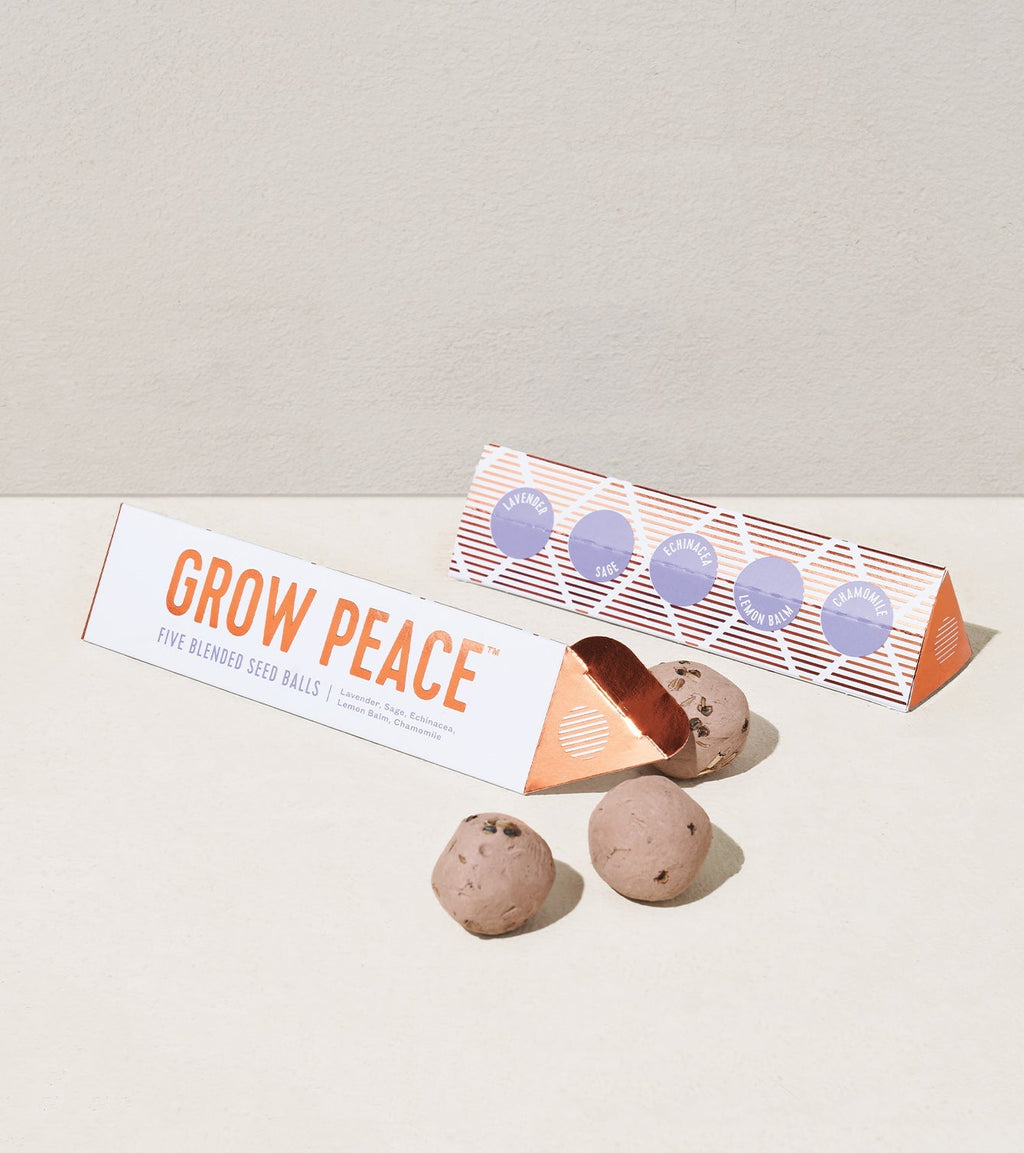 Bright Side Seed Balls - Cheeky Garden