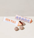 Bright Side Seed Balls - Cheeky Garden