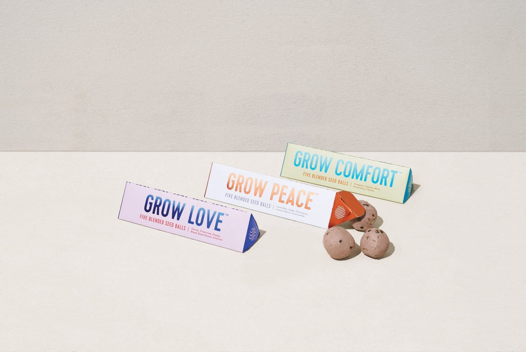 Bright Side Seed Balls - Cheeky Garden