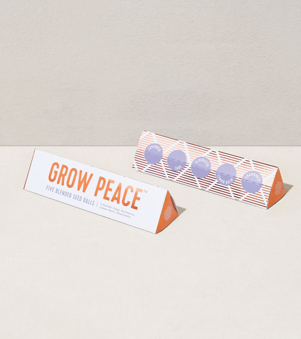 Bright Side Seed Balls - Cheeky Garden