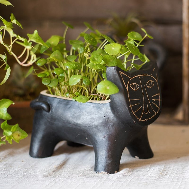 Cat Shape Small Planter in Concrete - Cheeky Garden