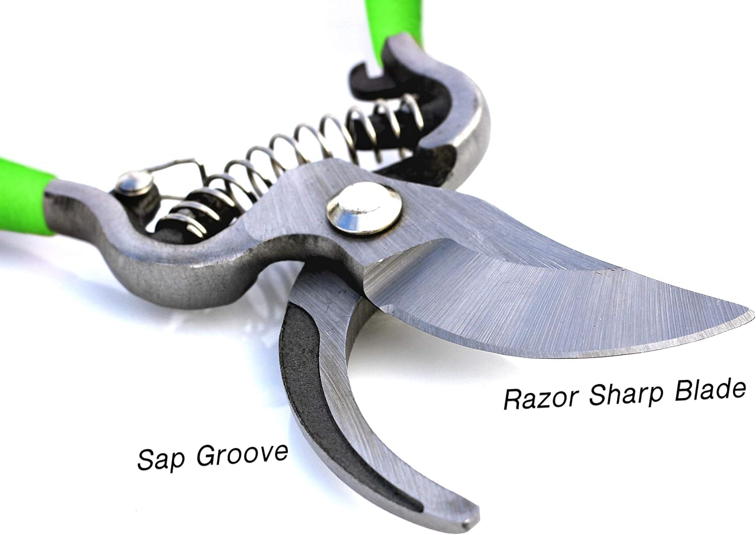 Classic Bypass Pruning Shears Clippers (Green) - Cheeky Garden