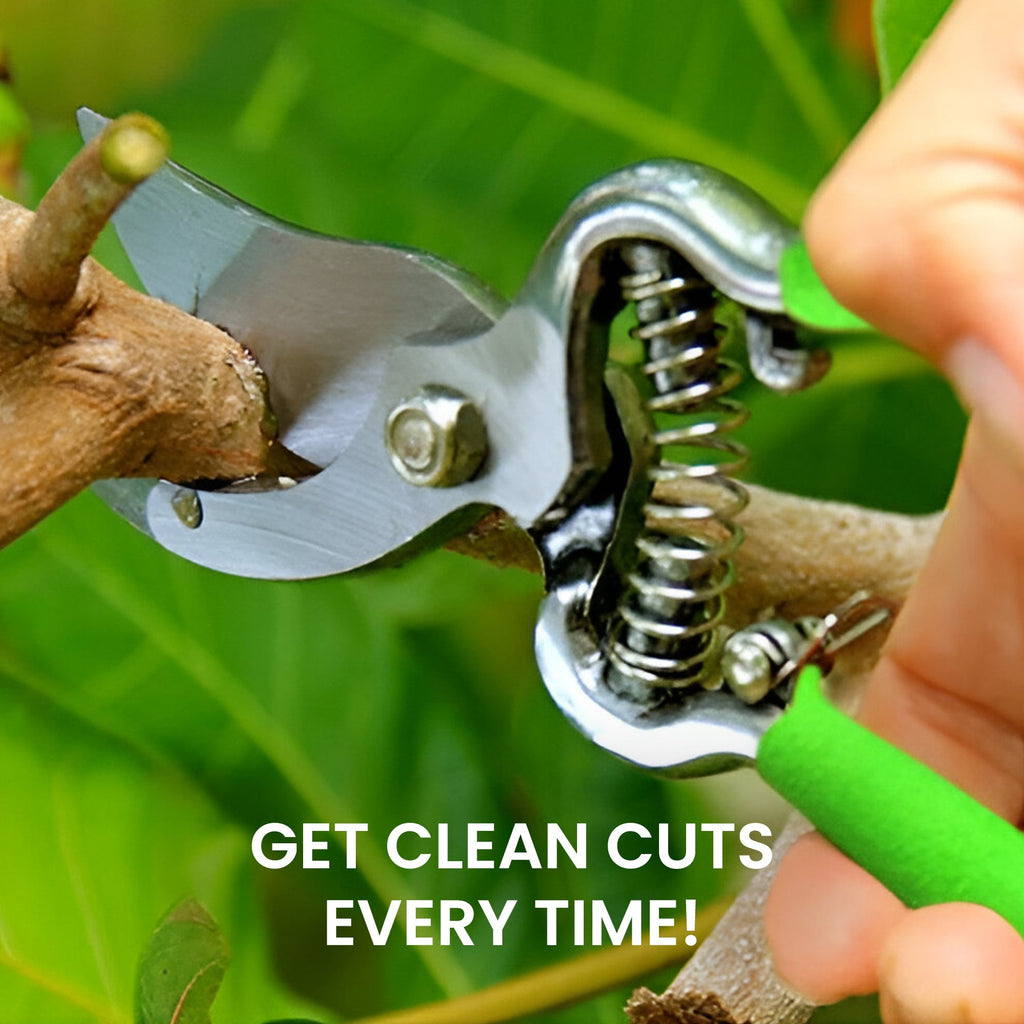 Classic Bypass Pruning Shears Clippers (Green) - Cheeky Garden