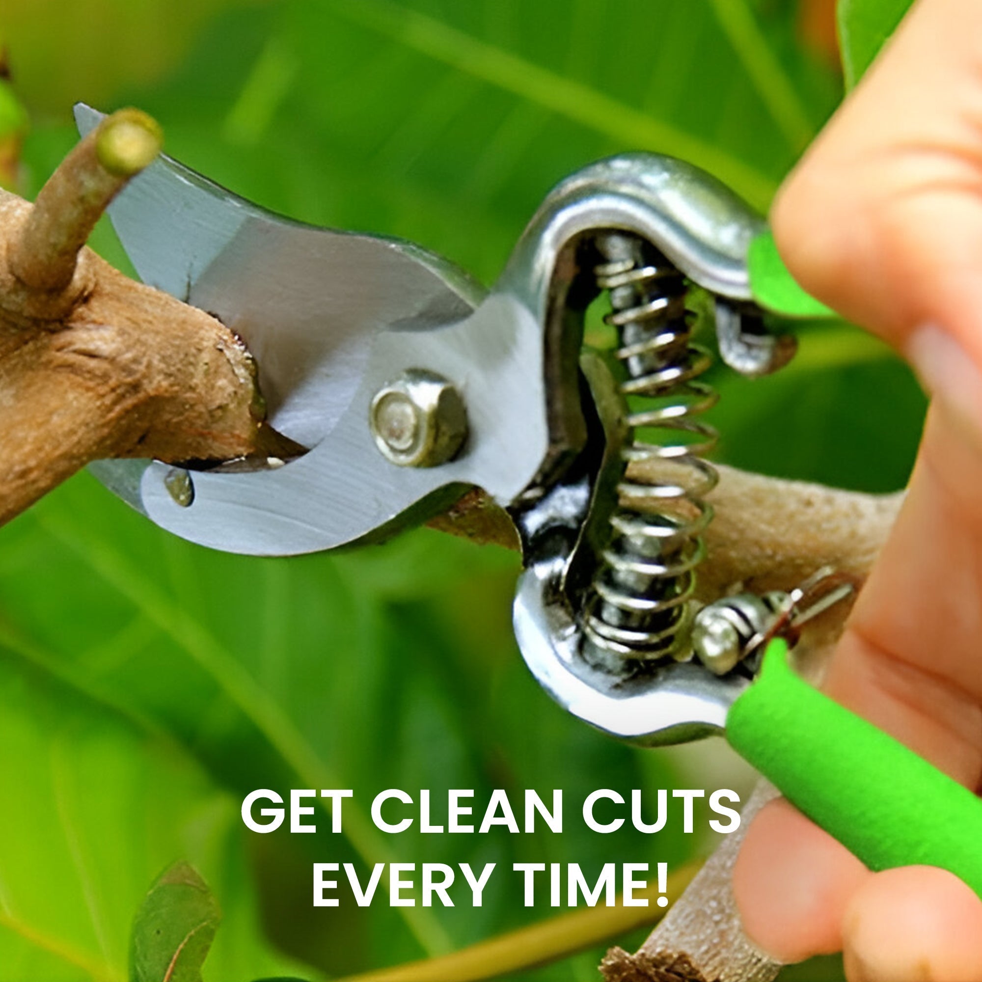 Classic Bypass Pruning Shears Clippers (Green) - Cheeky Garden