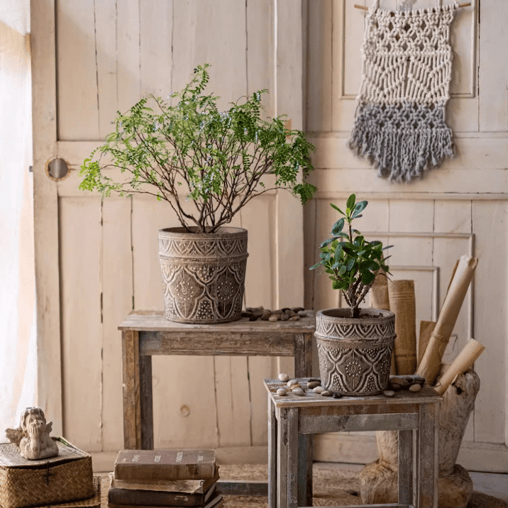 Classic Element Art Planter Clay Flowerpot - Cheeky Garden
