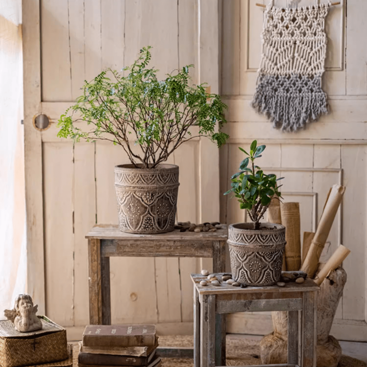 Classic Element Art Planter Clay Flowerpot - Cheeky Garden