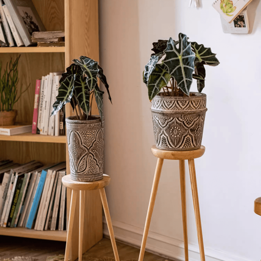 Classic Element Art Planter Clay Flowerpot - Cheeky Garden