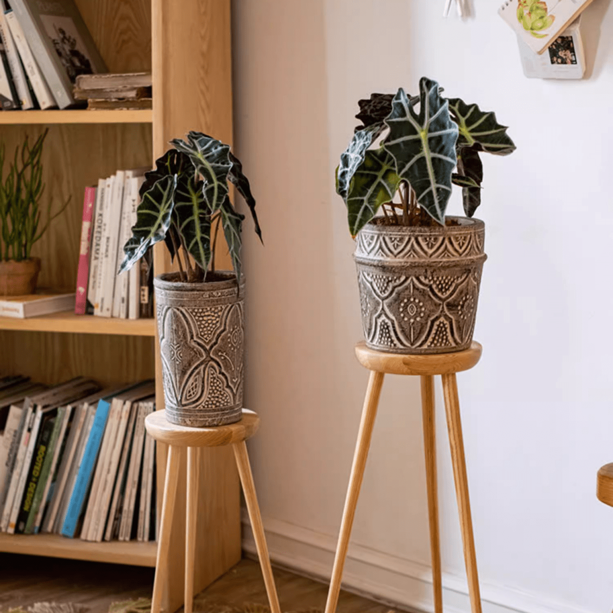 Classic Element Art Planter Clay Flowerpot - Cheeky Garden