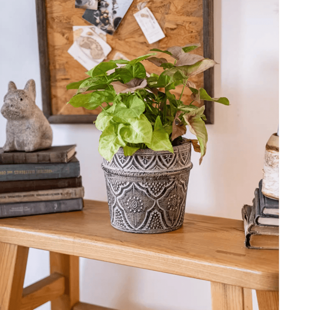 Classic Element Art Planter Clay Flowerpot - Cheeky Garden
