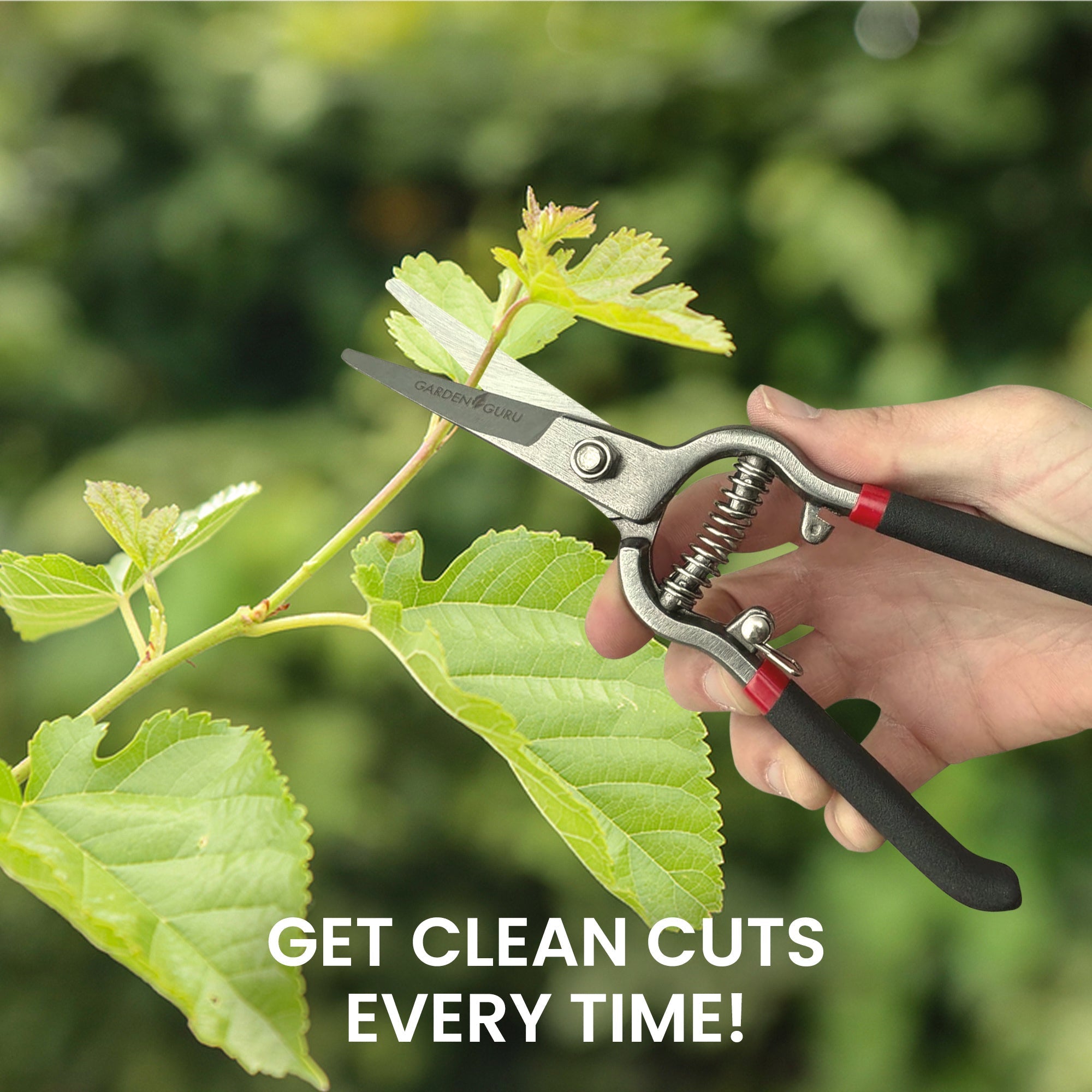 Classic Straight Blade Garden Bypass Pruners - Cheeky Garden