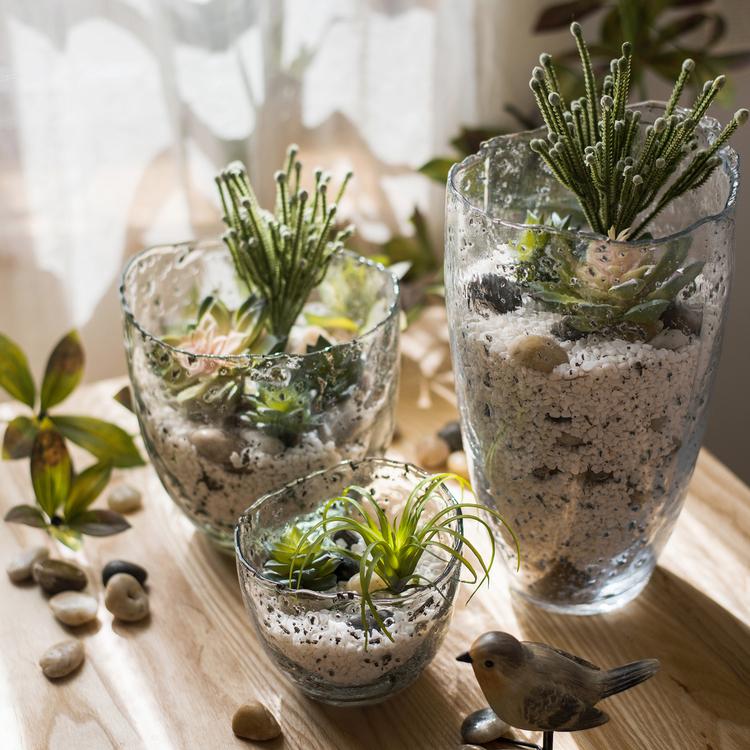 Clear Art Glass Vase - Cheeky Garden