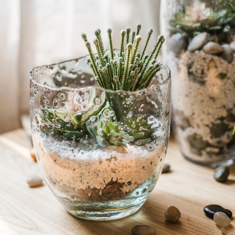Clear Art Glass Vase - Cheeky Garden
