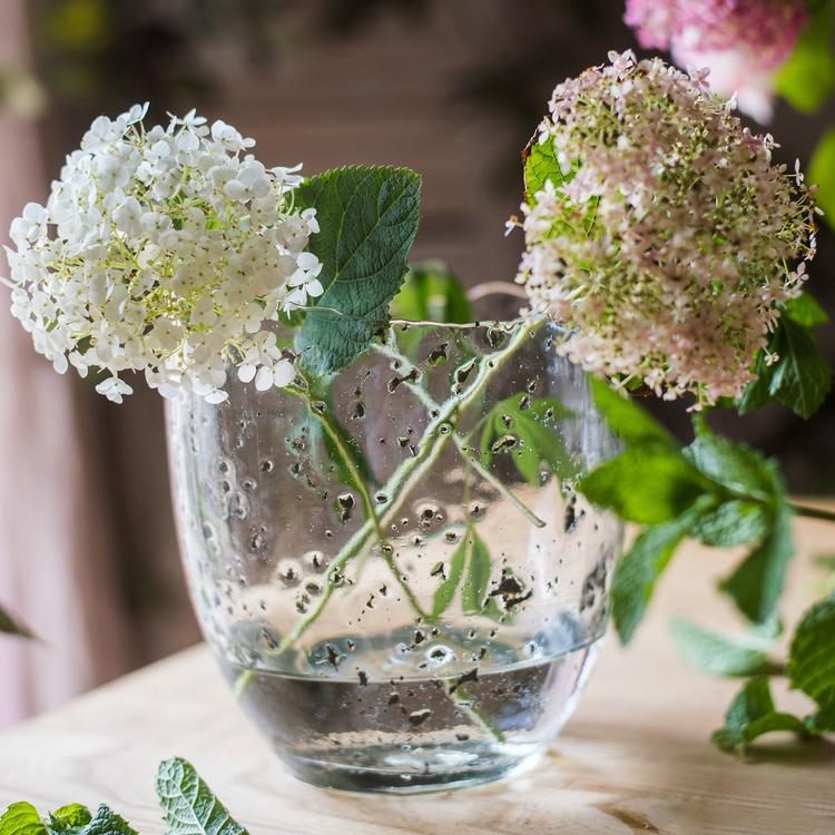 Clear Art Glass Vase - Cheeky Garden