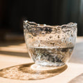Clear Art Glass Vase - Cheeky Garden