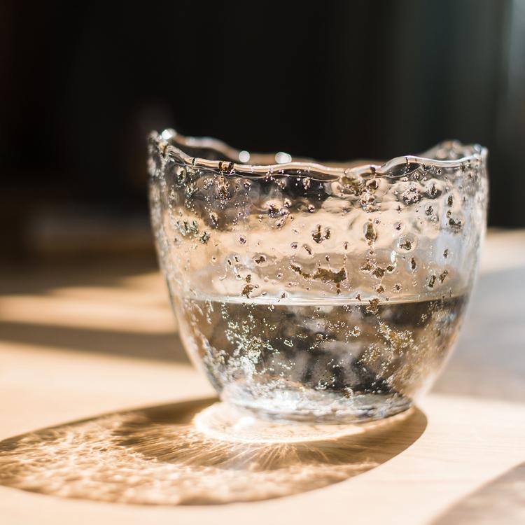 Clear Art Glass Vase - Cheeky Garden