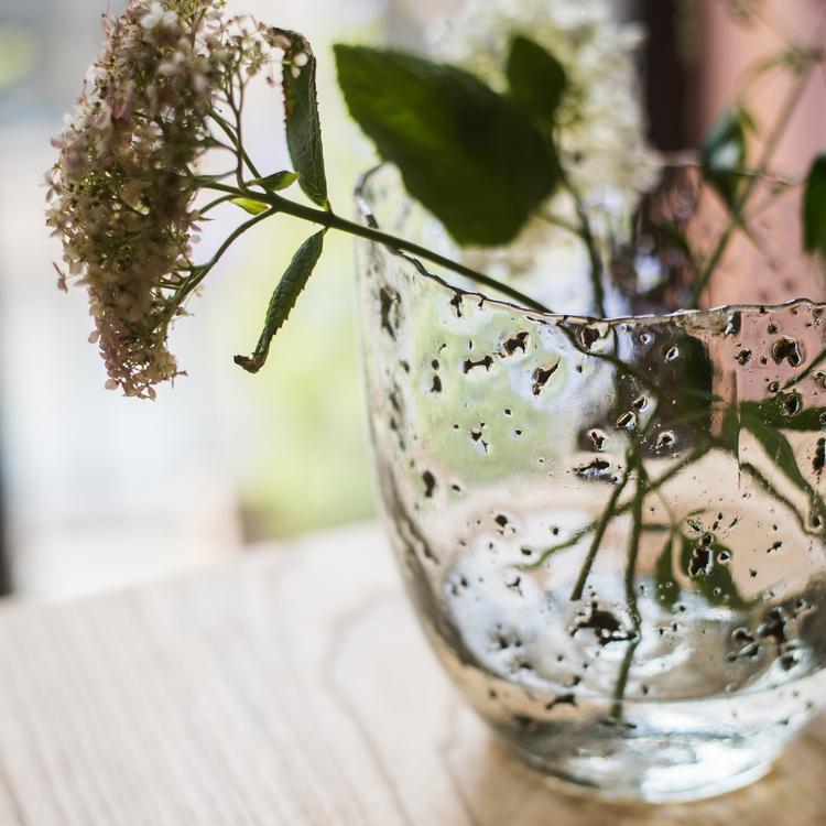 Clear Art Glass Vase - Cheeky Garden