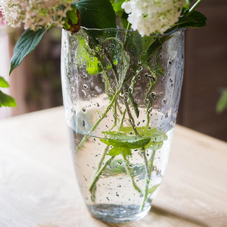 Clear Art Glass Vase - Cheeky Garden