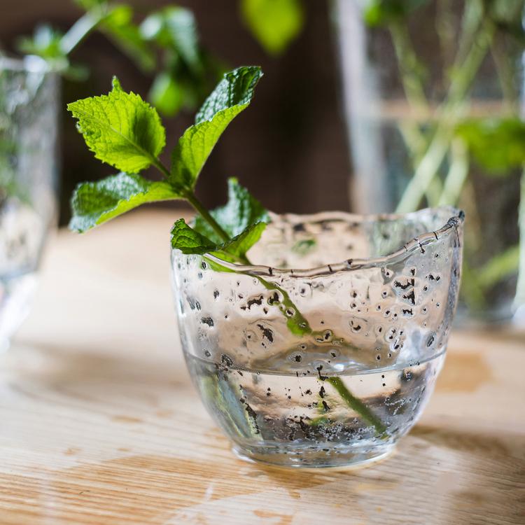 Clear Art Glass Vase - Cheeky Garden