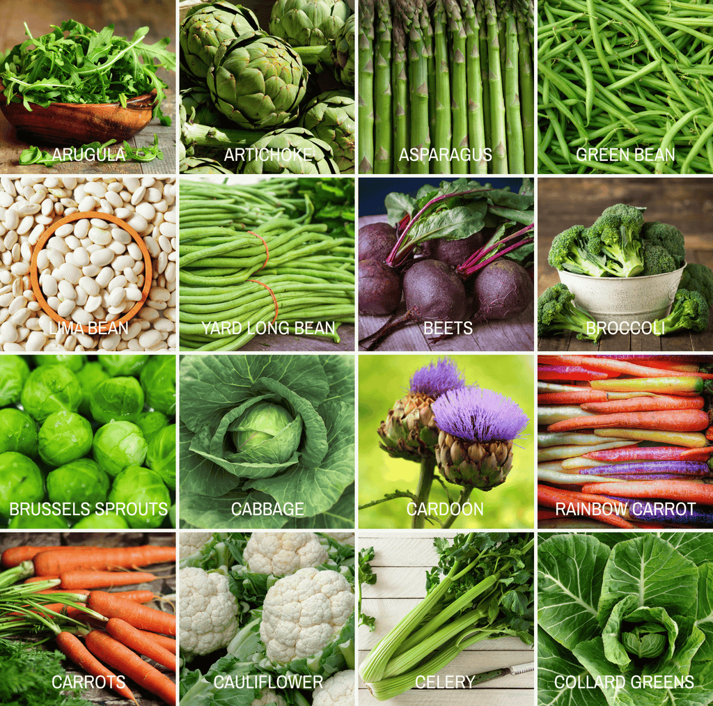 Community Garden Survival Seed Vault – 120 Seed Varieties - Cheeky Garden