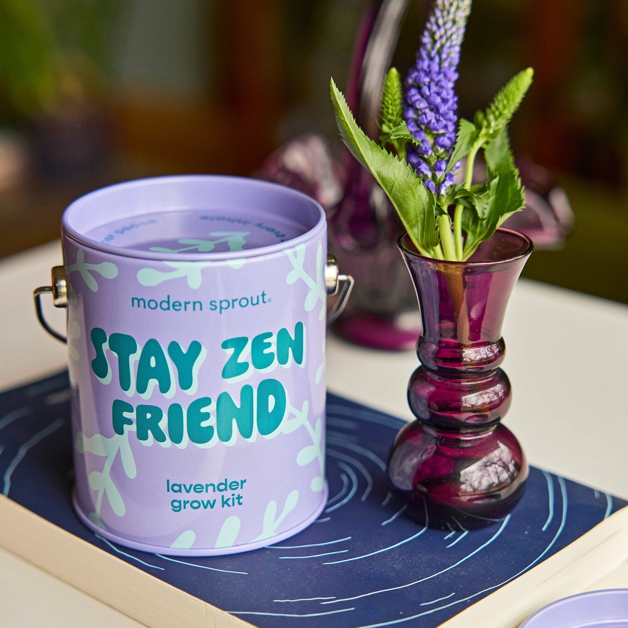 Complimentary Colors Grow Kits - Cheeky Garden