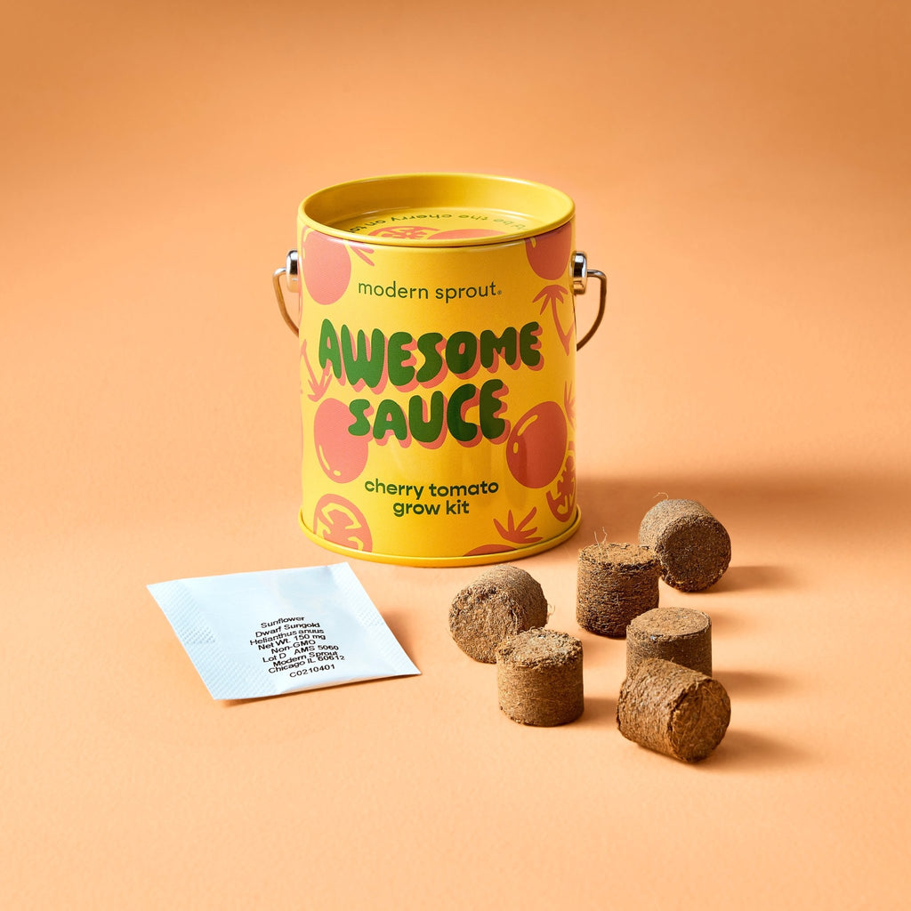 Complimentary Colors Grow Kits - Cheeky Garden
