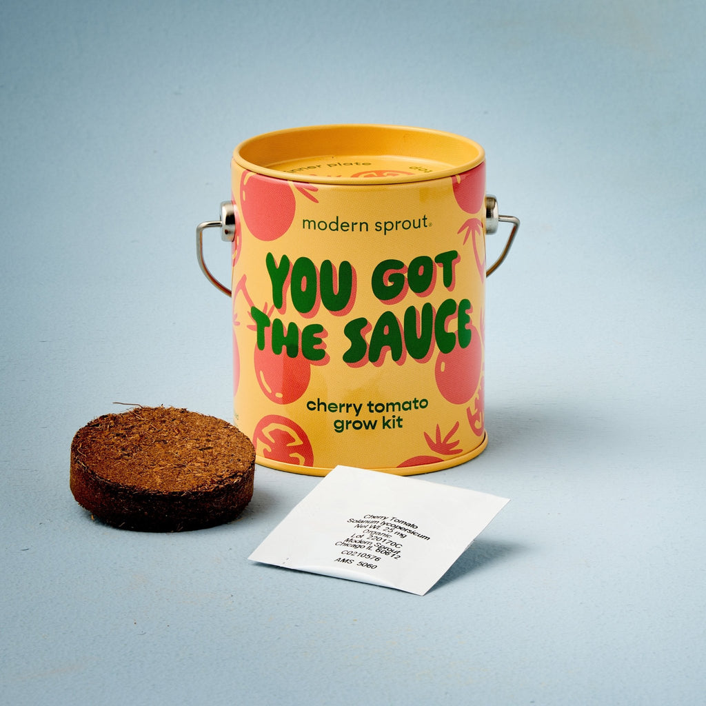Complimentary Colors Grow Kits - Cheeky Garden