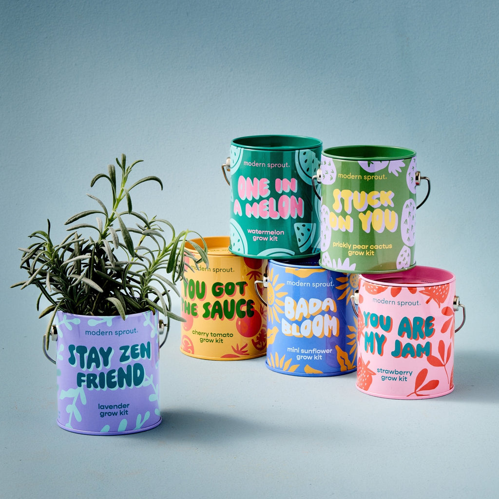 Complimentary Colors Grow Kits - Cheeky Garden