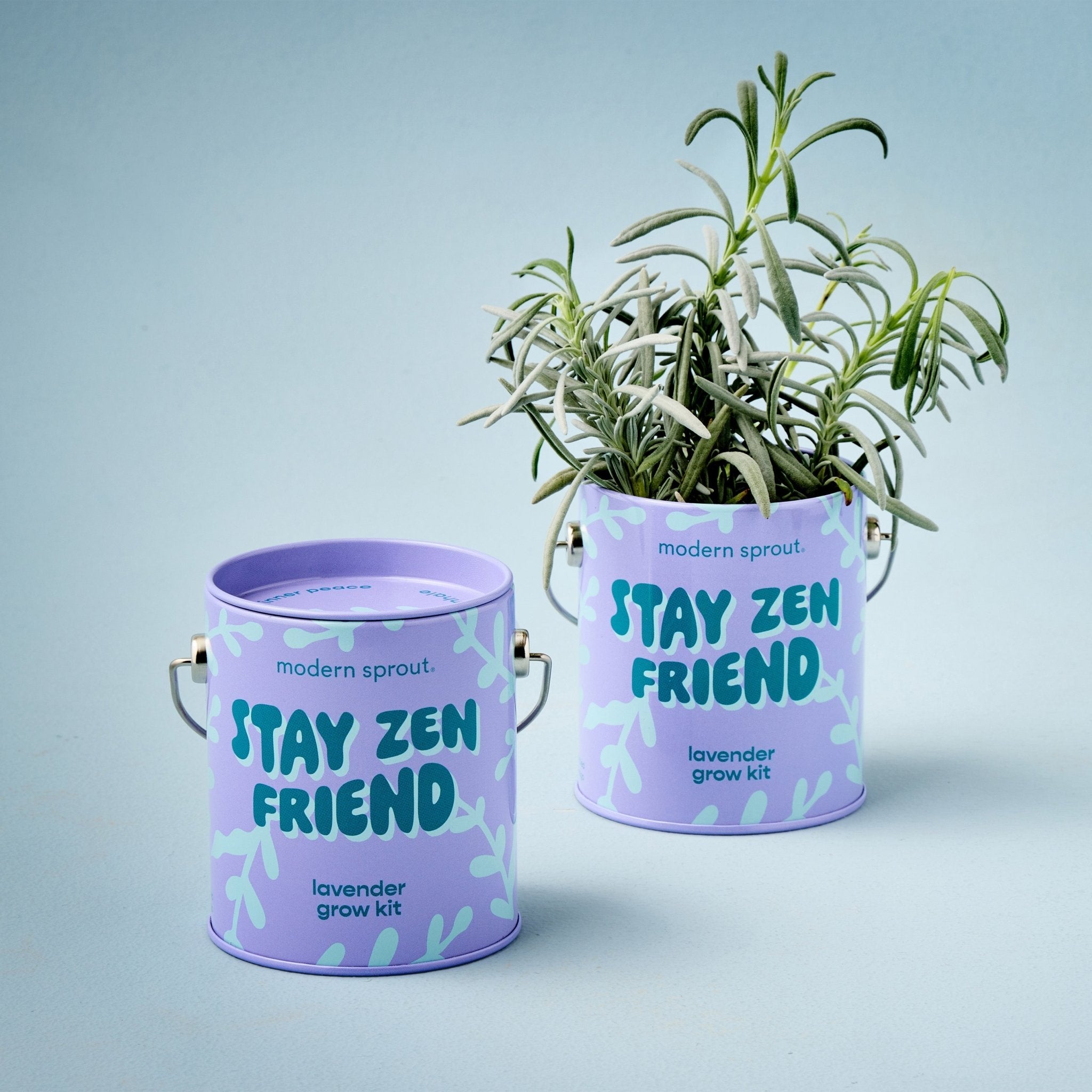 Complimentary Colors Grow Kits - Cheeky Garden