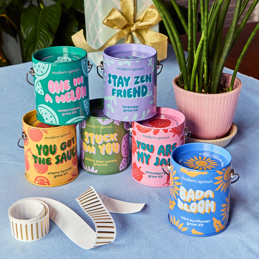 Complimentary Colors Grow Kits - Cheeky Garden