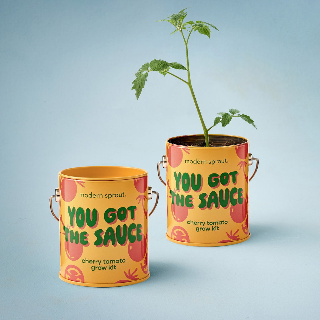 Complimentary Colors Grow Kits - Cheeky Garden