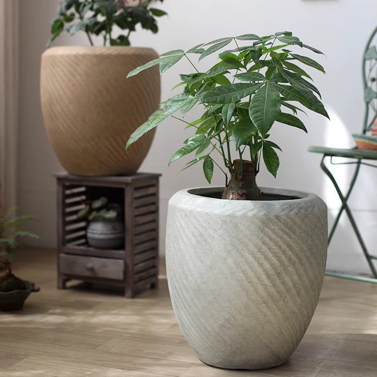 Comtemporary Swirl Planter - Cheeky Garden