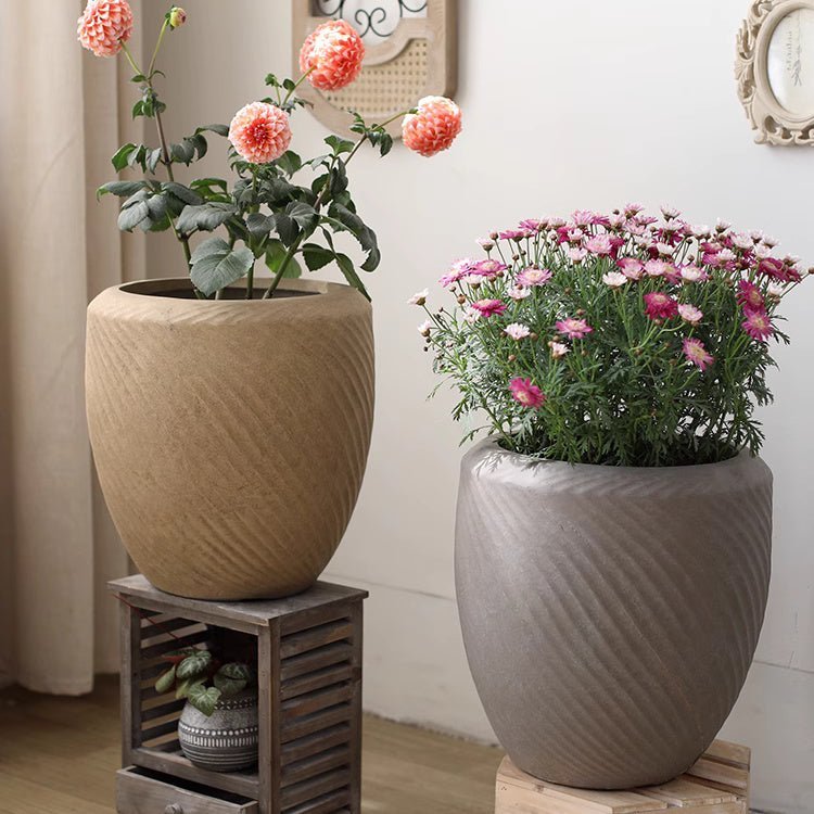 Comtemporary Swirl Planter - Cheeky Garden