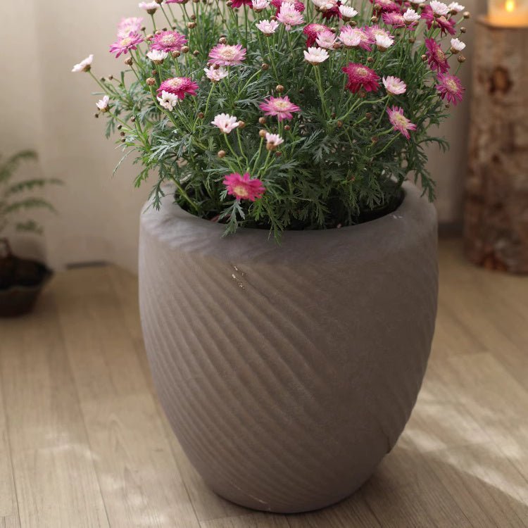 Comtemporary Swirl Planter - Cheeky Garden