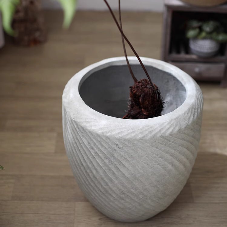 Comtemporary Swirl Planter - Cheeky Garden