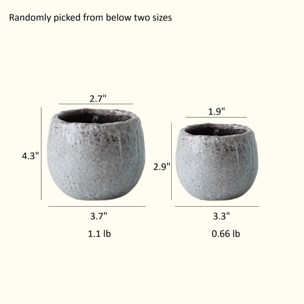 Crackle Glazed Succulent Pot Randomly Picked Set of 5 - Cheeky Garden