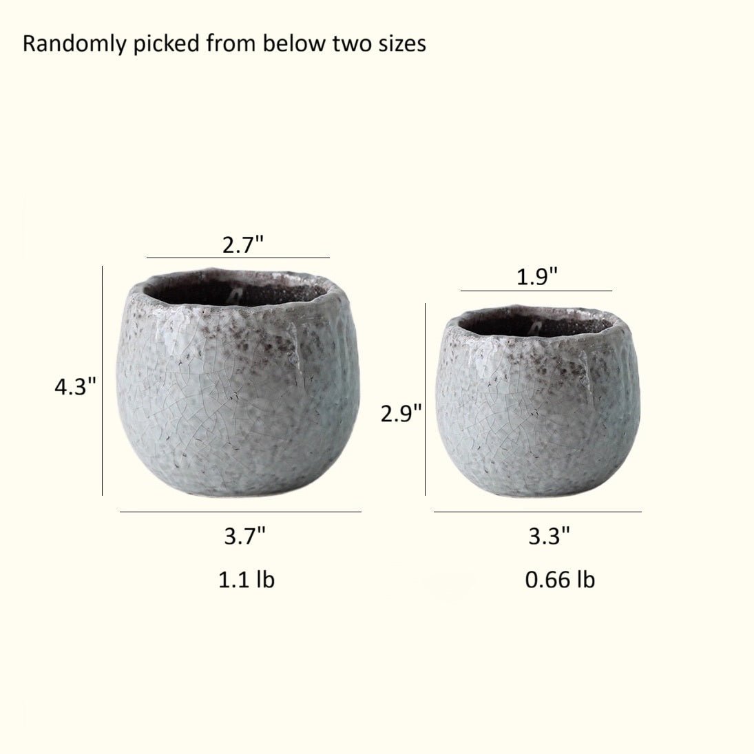 Crackle Glazed Succulent Pot Randomly Picked Set of 5 - Cheeky Garden