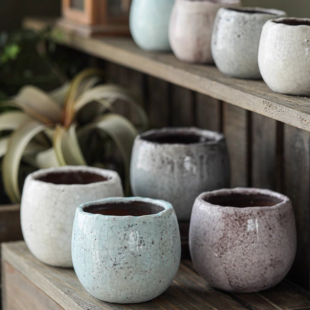 Crackle Glazed Succulent Pot Randomly Picked Set of 5 - Cheeky Garden