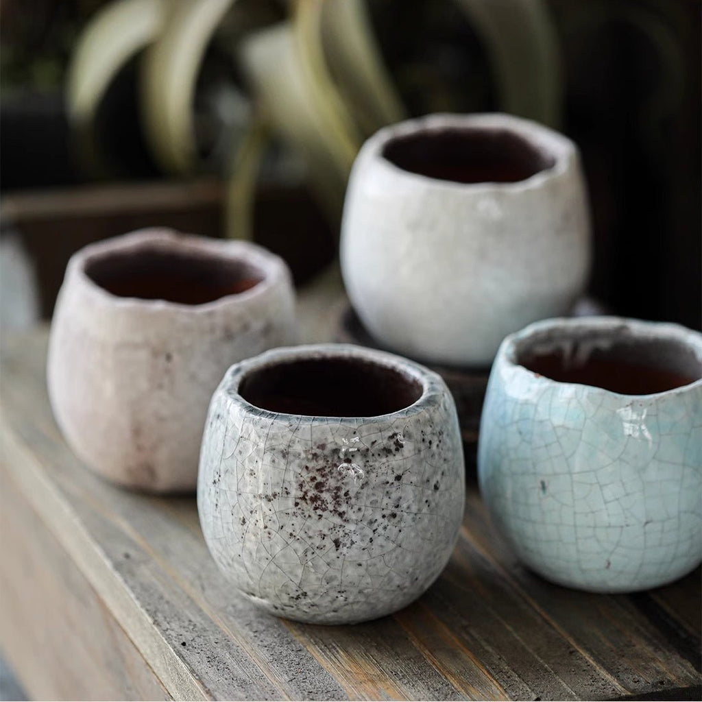 Crackle Glazed Succulent Pot Randomly Picked Set of 5 - Cheeky Garden