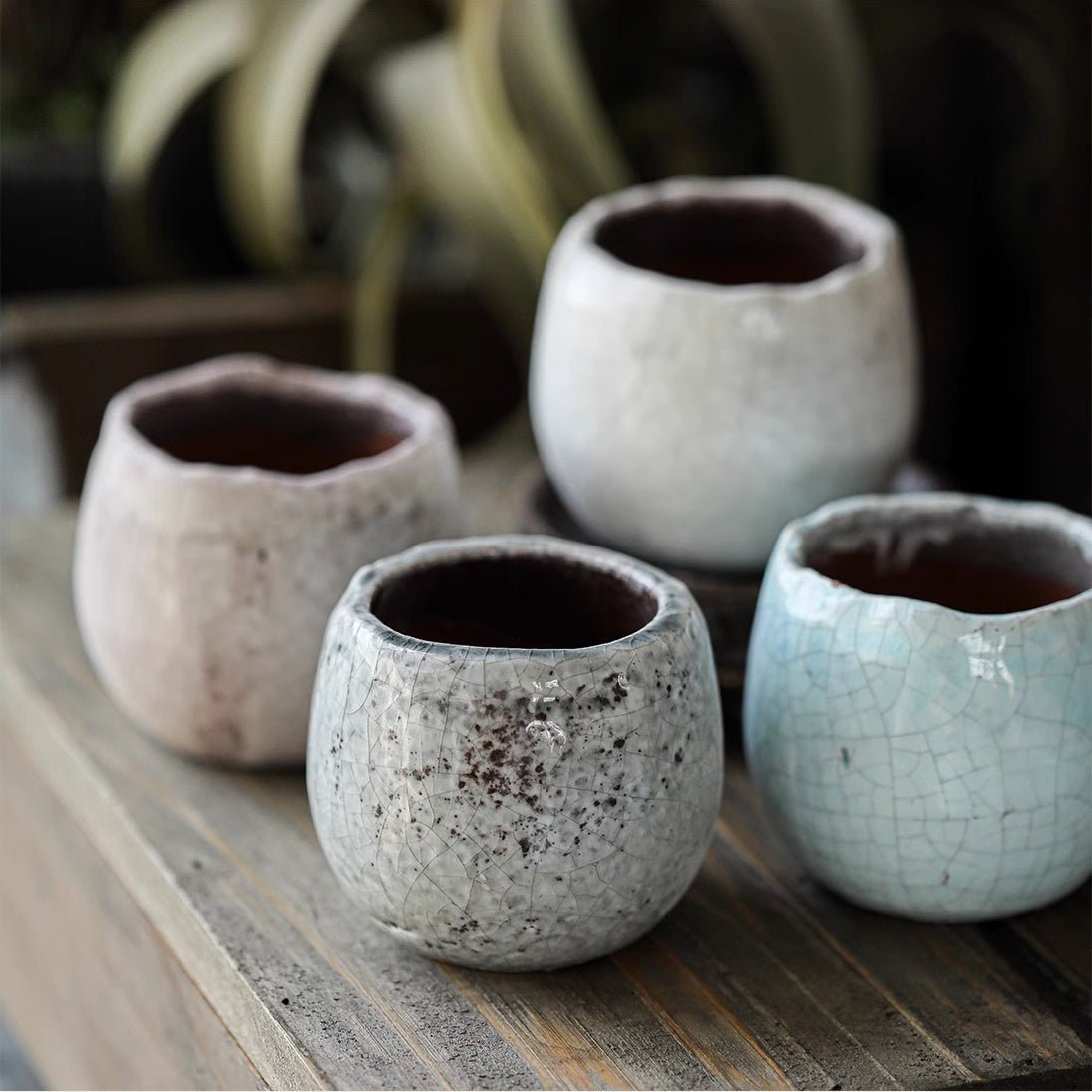 Crackle Glazed Succulent Pot Randomly Picked Set of 5 - Cheeky Garden