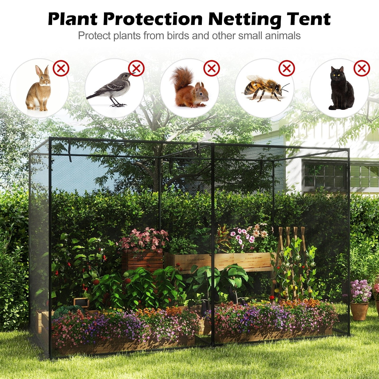 Crop Cages with 6 Ground Nails for Garden Plant - Cheeky Garden
