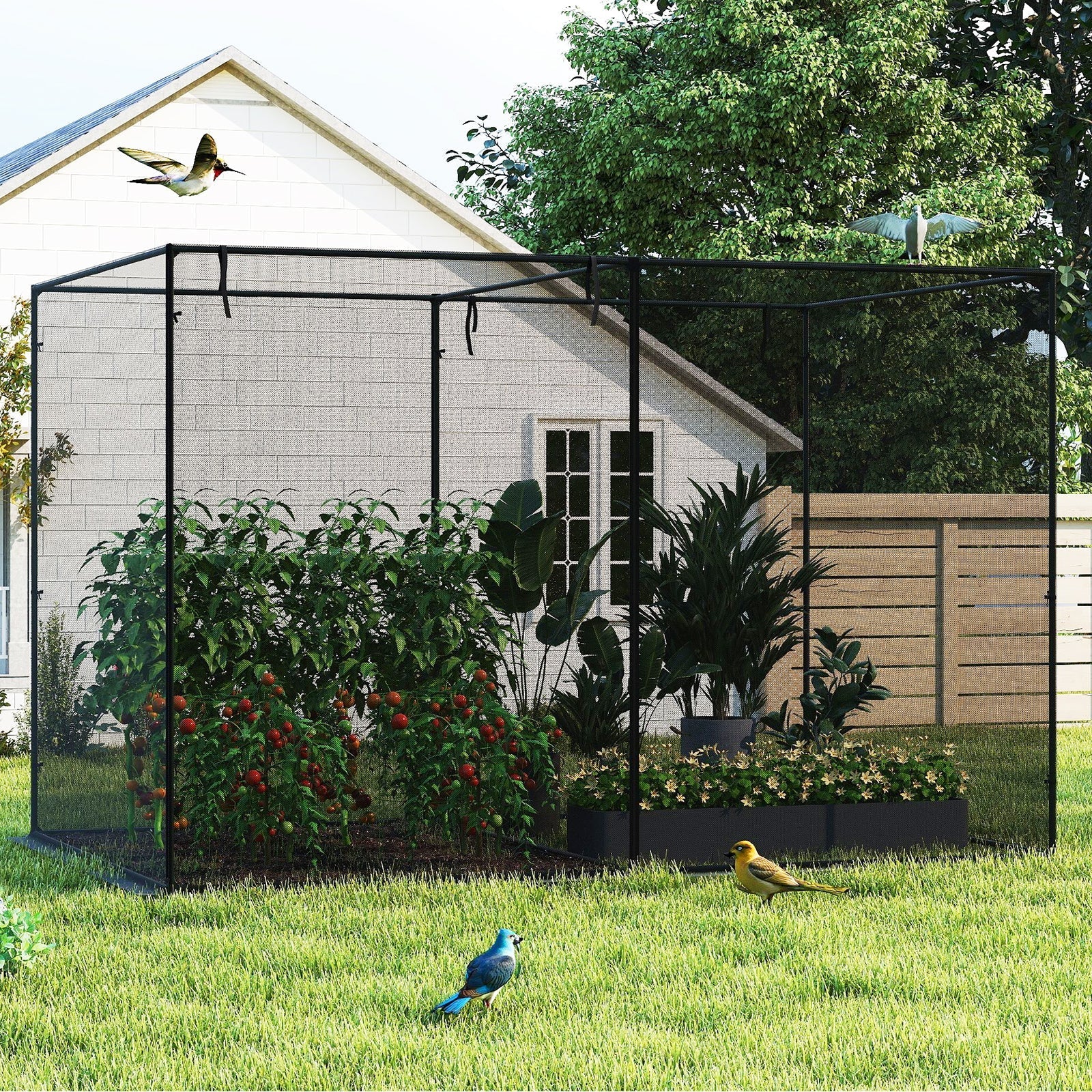 Crop Cages with 6 Ground Nails for Garden Plant - Cheeky Garden