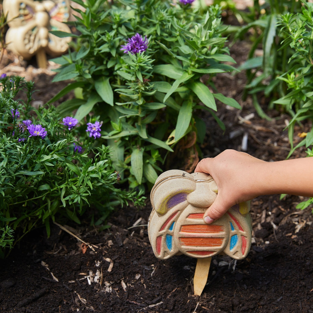 Curious Critters Garden Kits - Cheeky Garden