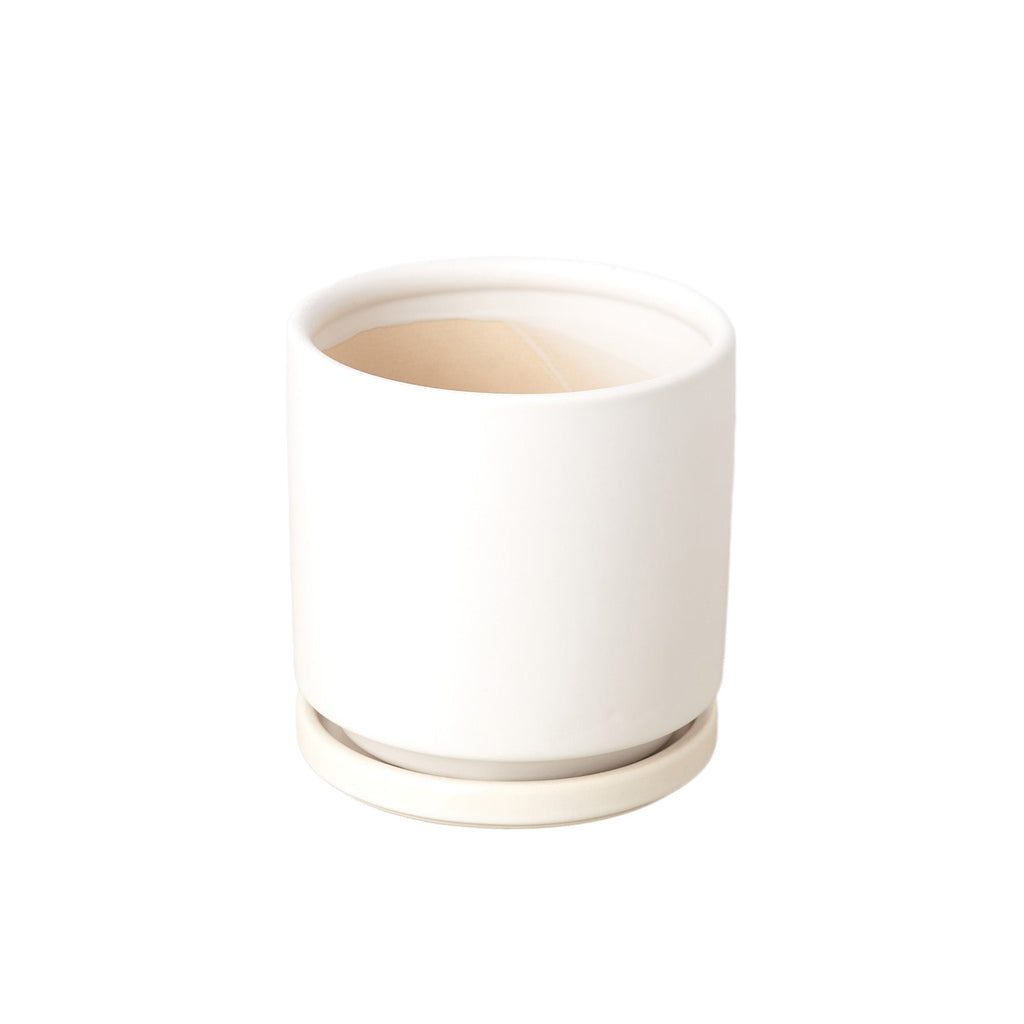 Cylinder Pot - 4 and 6 Inch - Cheeky Garden