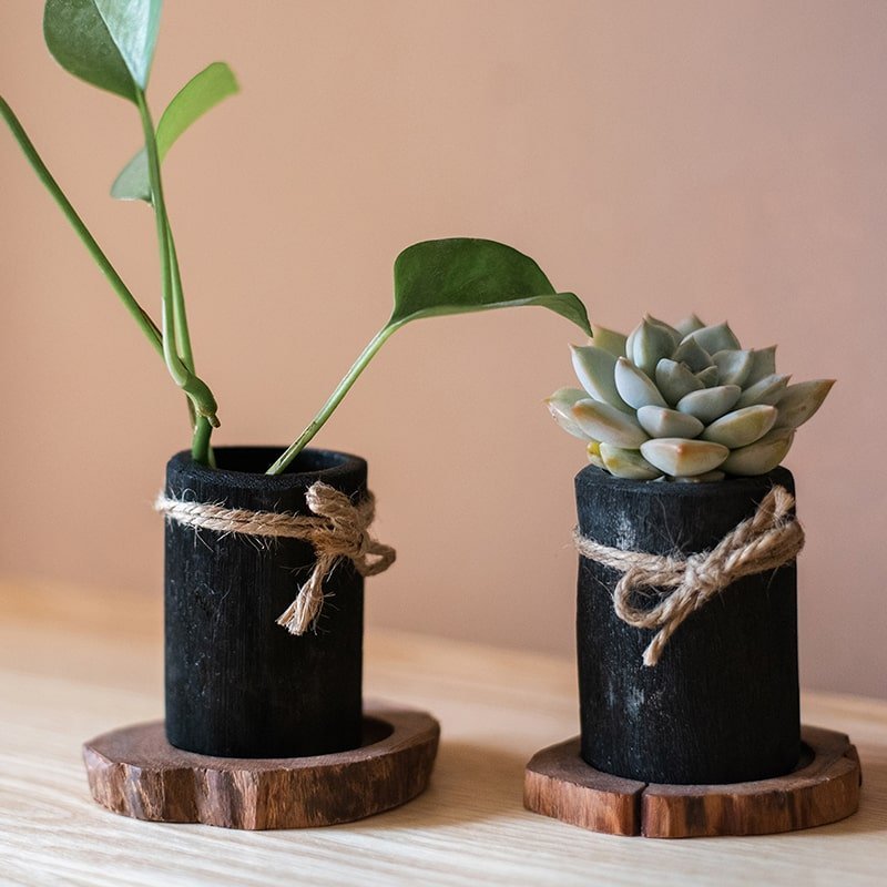 Desktop Charcoal Planter Wood Tray - Cheeky Garden