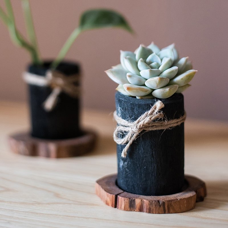Desktop Charcoal Planter Wood Tray - Cheeky Garden