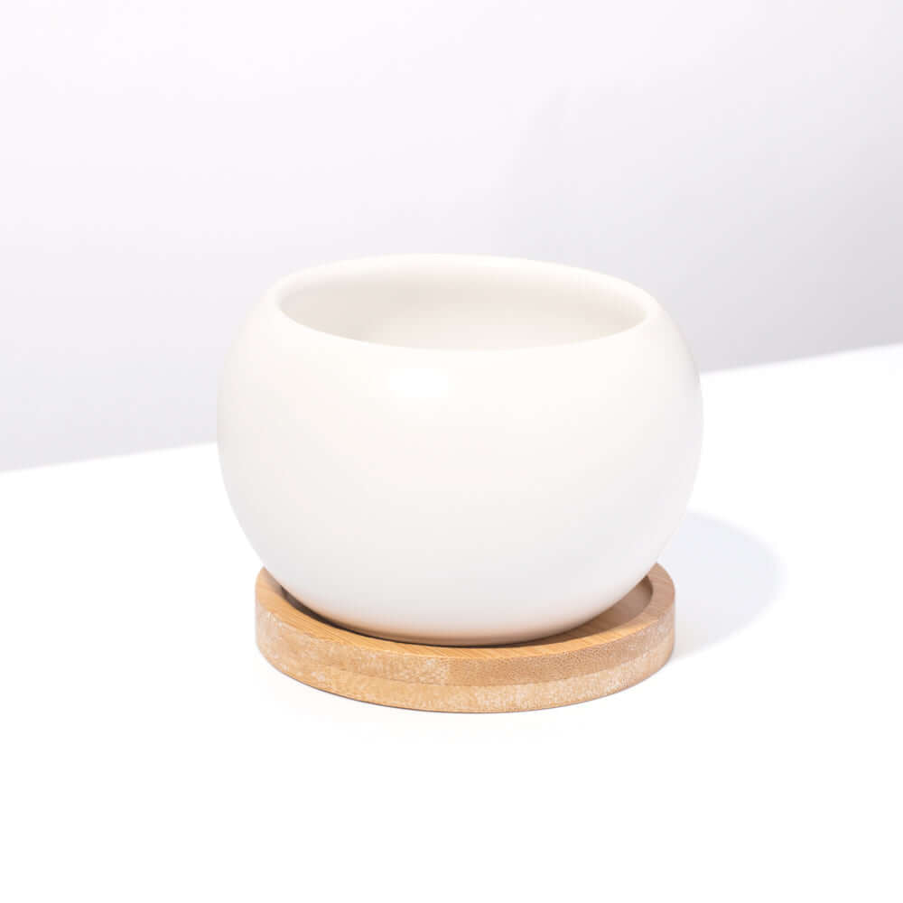 Diana Ceramic 3" Planter – Empty - Cheeky Garden