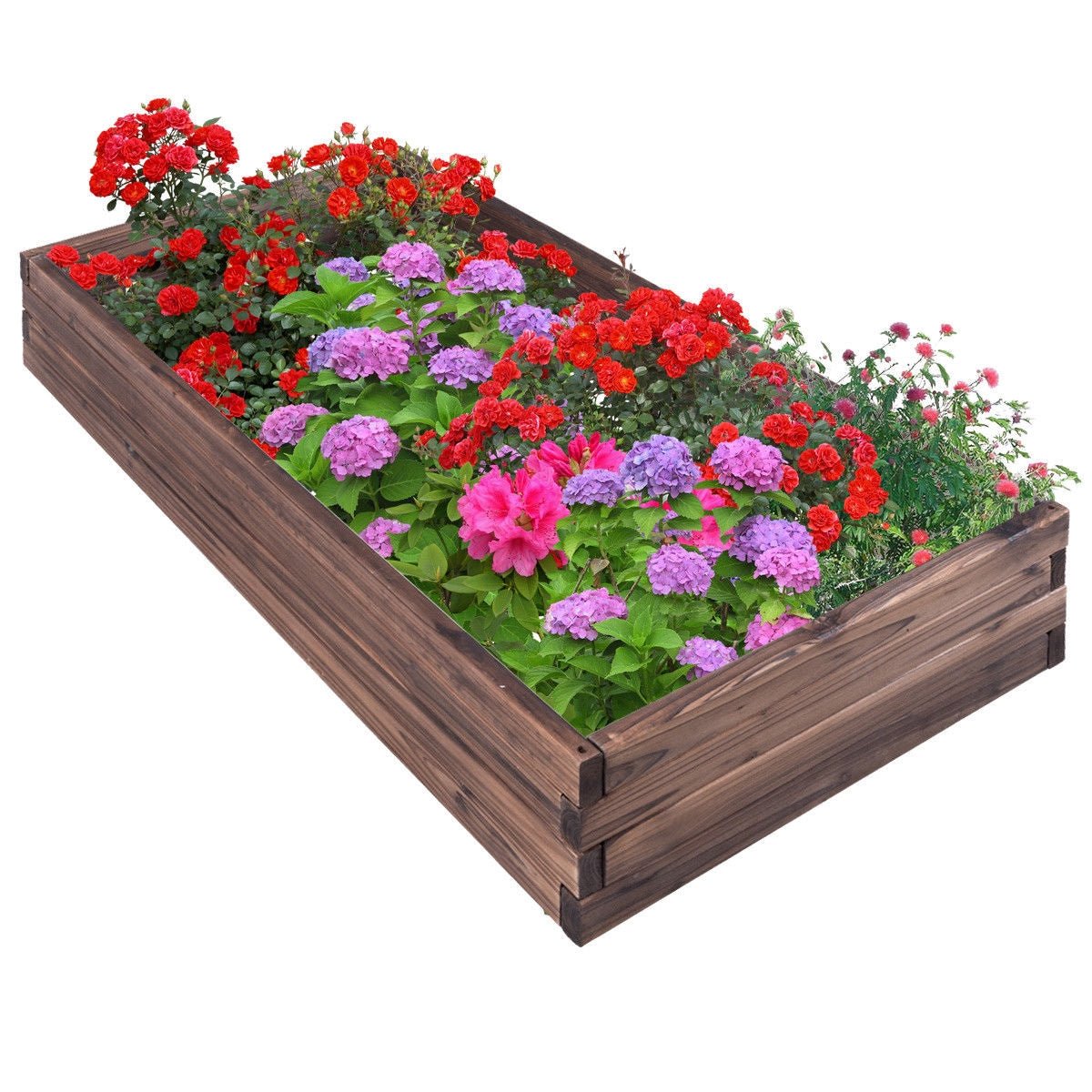Elevated Wooden Garden Planter Box Bed Kit - Cheeky Garden